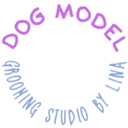 Dog Model